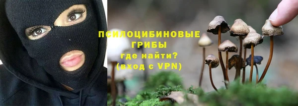 дурь Болотное