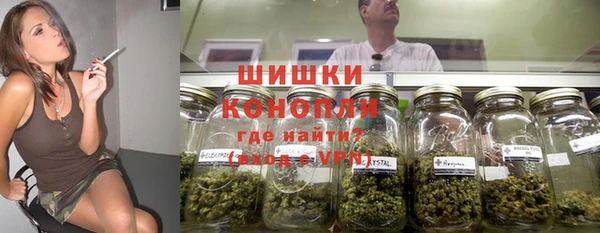 дурь Болотное